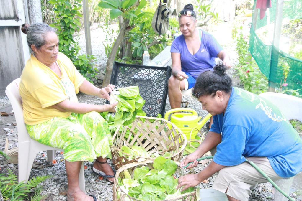 tokelau ladies